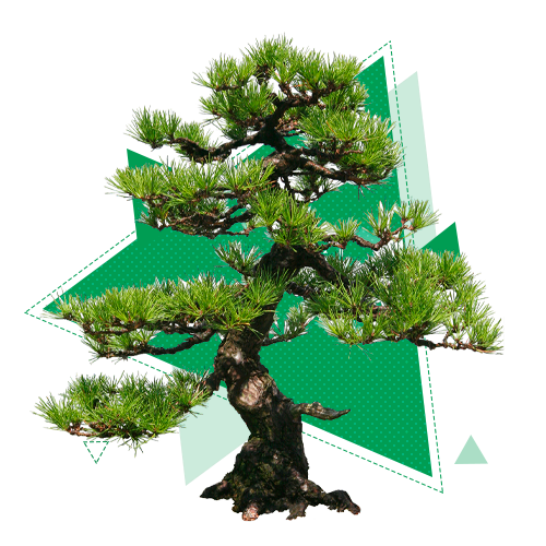 Психотерапия постстрессовых расстройств Психотерапия постстрессовых расстройств