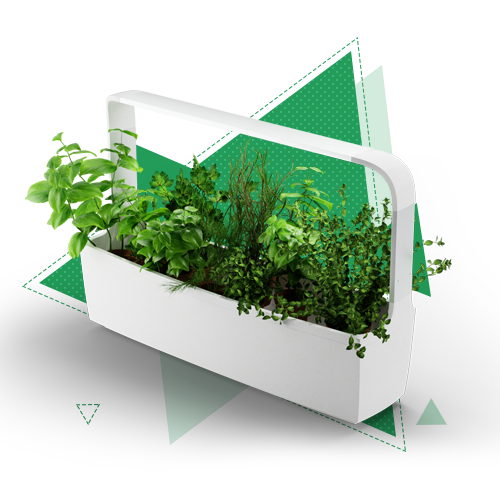 Экономика предприятий и организаций