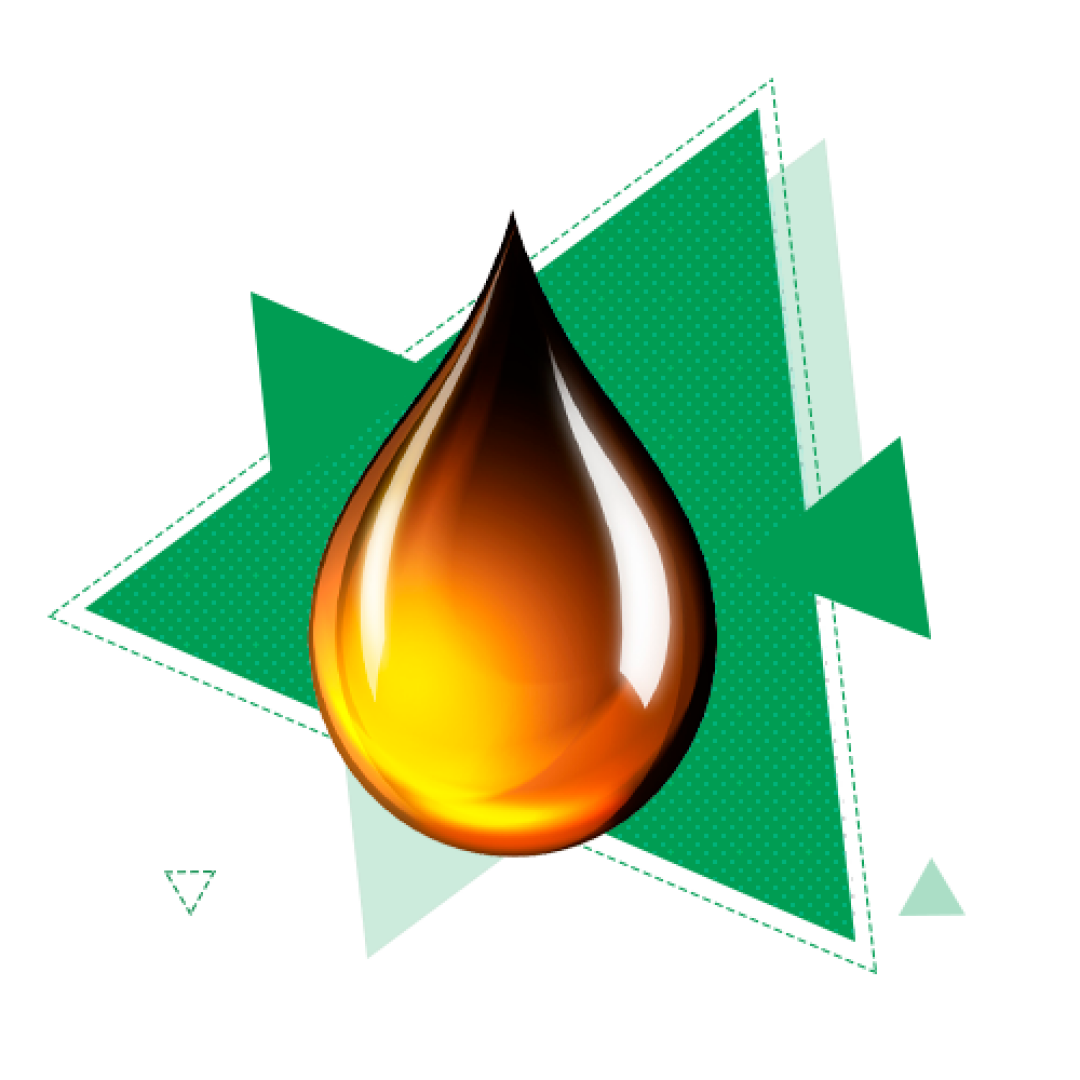 НП: Управление производственными рисками и промышленная безопасность в нефтегазовом комплексе