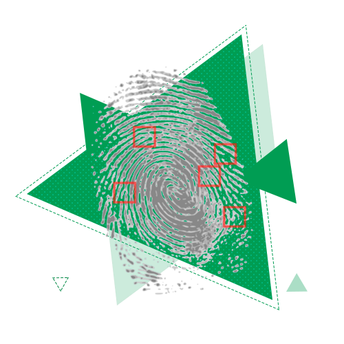 Поступить на профиль Уголовно-правовой профиль