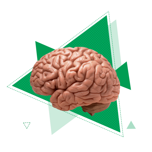 Государственное управление и администрирование