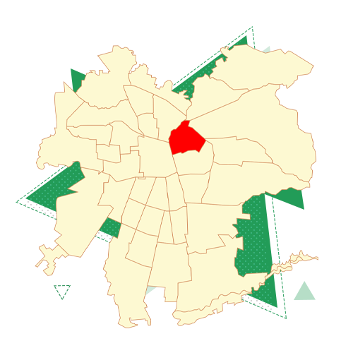Цифровое управление на государственной и муниципальной службе