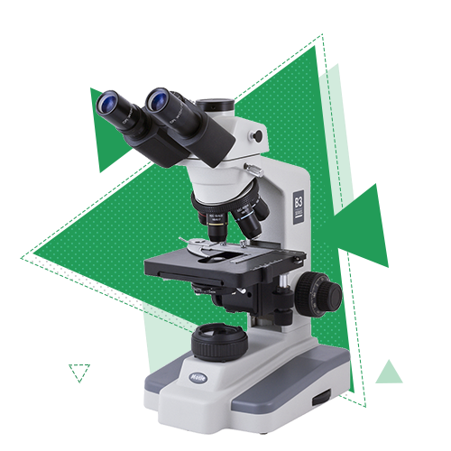 Фундаментальные и прикладные исследования в области наук о человеке Фундаментальные и прикладные исследования в области наук о человеке