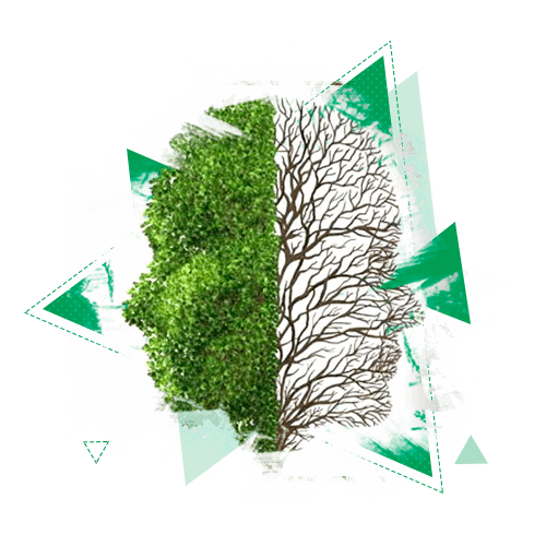 Поступить на профиль Практическая психология