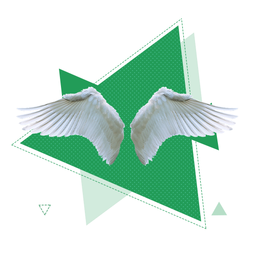 Предпринимательство и управление бизнесом