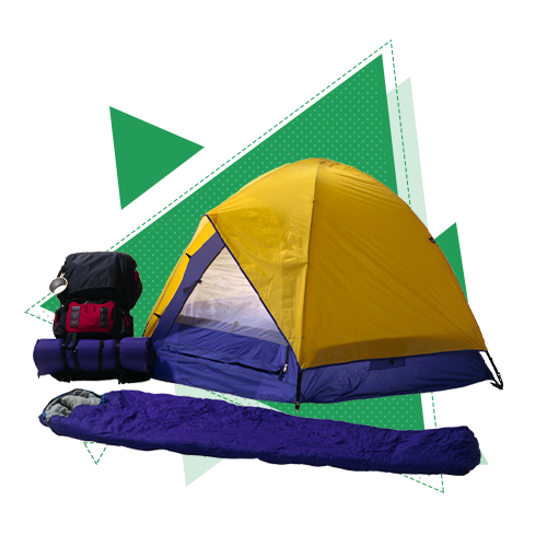 Поступить на профиль Туризм и гостеприимство