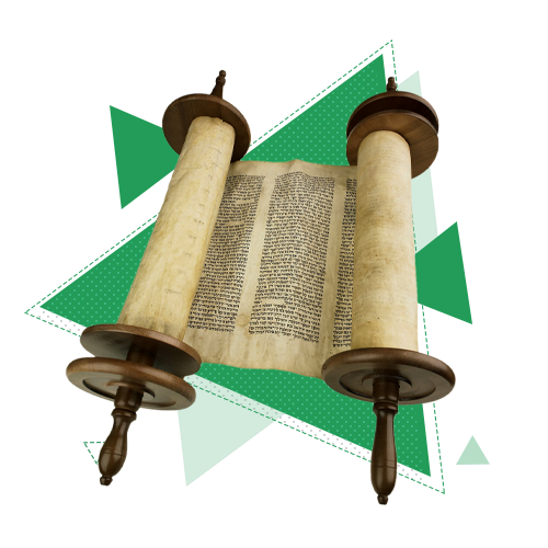 Поступить на профиль Культурно-историческая нейро- и патопсихология Поступить на профиль Культурно-историческая нейро- и патопсихология