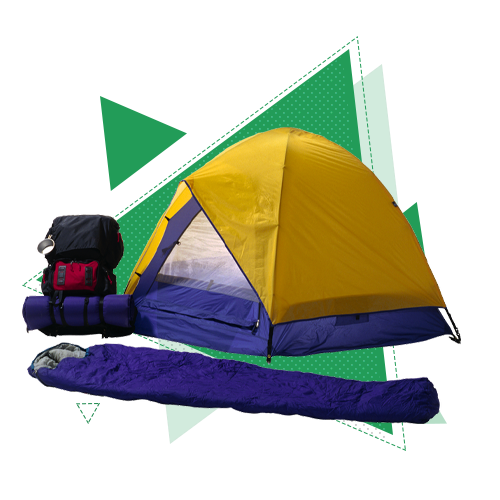 Туризм и гостеприимство