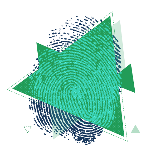 Поступить на профиль Обеспечение прав личности в уголовном судопроизводстве Поступить на профиль Обеспечение прав личности в уголовном судопроизводстве