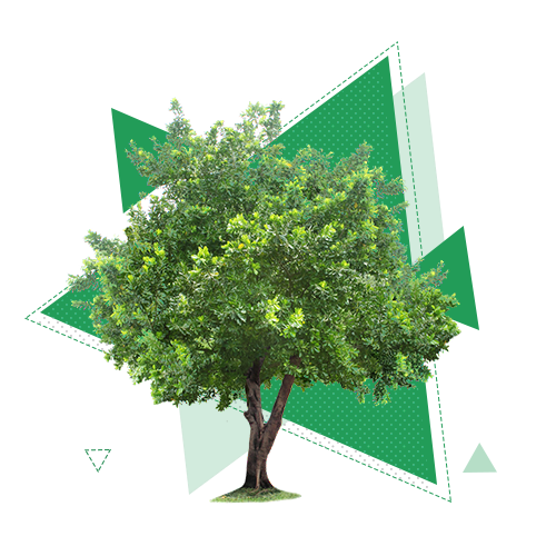 Экологическая безопасность