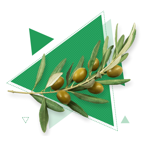 Поступить на профиль Консультативная и клиническая психология