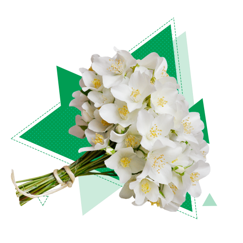 Поступить на профиль Event-менеджмент