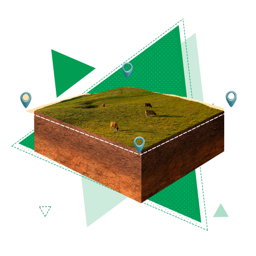 Землеустройство